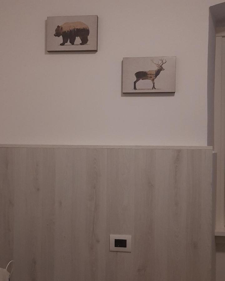 Apartament Pernici Mountain House Pinzolo Zewnętrze zdjęcie